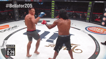 here you go martial arts GIF by Bellator