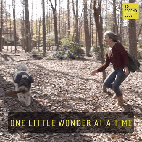 Dog Magic GIF by 60 Second Docs
