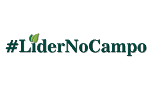 Líder Agronegócios Sticker