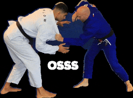Flow63BJJ bjj jiujitsu martial art brazilian jiu-jitsu GIF