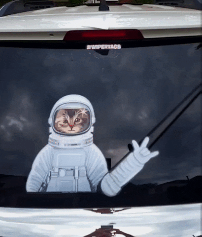 Astrokitty GIF by WiperTags Wiper Covers