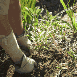 Relaxing, Healing and Soothing Nature Pics and Gifs