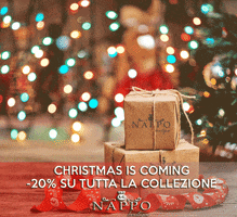 Nappo Boutique GIF