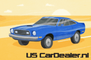 VDS Automotive GIF