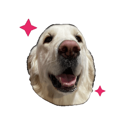 Syzygy Events Sticker