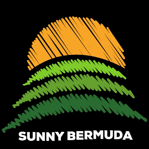 SunnyBermuda sunny lawn sunny bermuda bermudagrass GIF