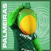 Cartãoamarelo Futebol Brasil GIF - Yellow Card Soccer Brazil - Discover &  Share GIFs