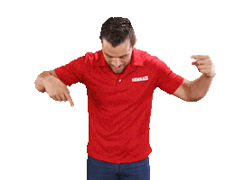 Ladelborreguito Sticker by HEMSA