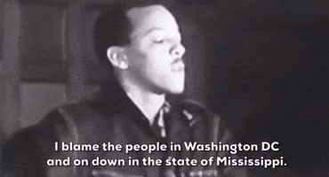 Freedom Summer GIF by GIPHY News