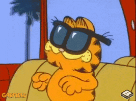 happy garfield goes hollywood GIF by Boomerang Official