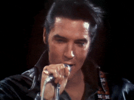 Hound Dog Medley GIF by Elvis Presley