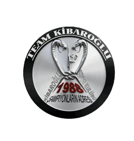 Club Savate Sticker by kibaroglusportgym