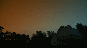 Trick Or Treat Halloween GIF by University of Florida