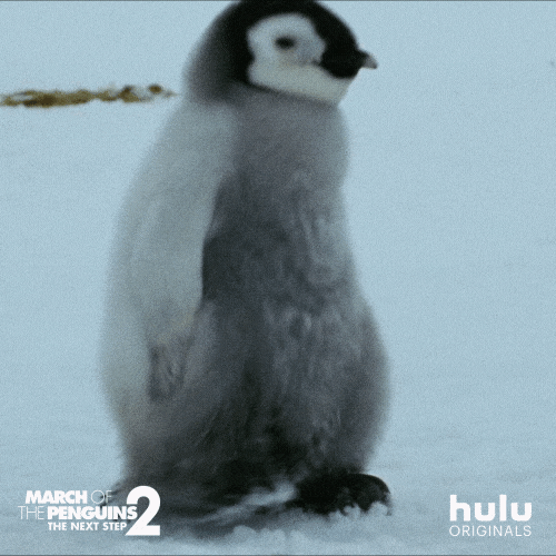 Sleepy March Of The Penguins GIF by HULU