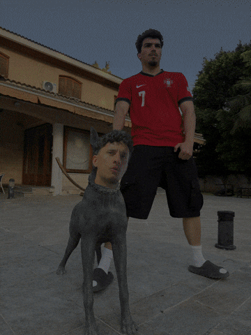 Dog Basket GIF