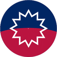 Freedom Day Flag Sticker by Fuse Fundraising