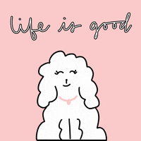 Life Is Good Poodle GIF
