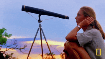 jane goodall waiting GIF by National Geographic Channel