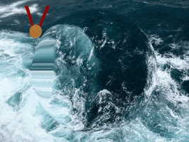 200.gif?cid=fc005b08d224f30caa2c901432a94e85926045147743e015&rid=200.gif&ct=g