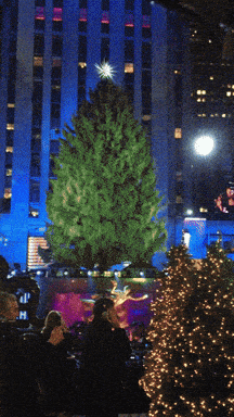 Rockefeller Christmas Tree 2022 Gif Rockefeller Center Christmas Tree Lighting Gifs - Get The Best Gif On Giphy