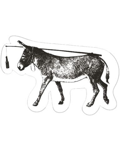 Los Cabos Beer Sticker by Baja Brewing Co.