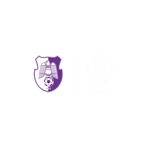 Liga 1 Sticker by Superliga Romania