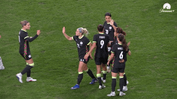 Celebration Goal GIF by Football Australia