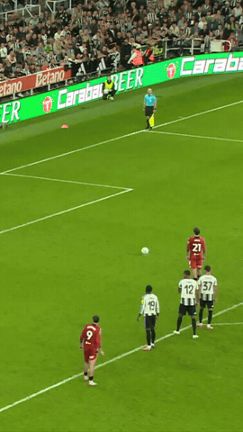 West Brom Goal GIF by West Bromwich Albion