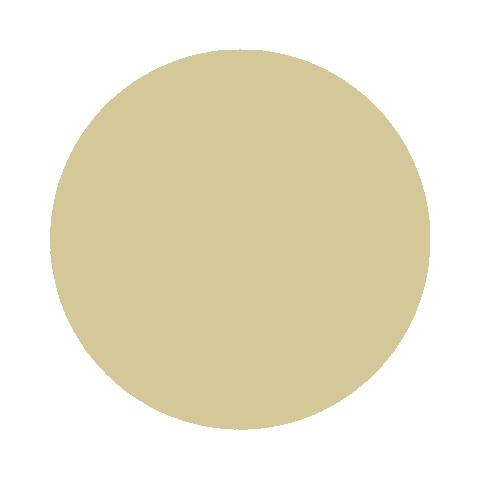 Mountaineers App State Sticker by Appalachian State University