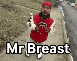 Mr Beast GIF