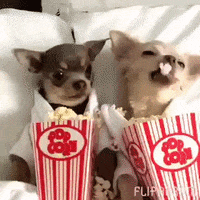 chill popcorn GIF