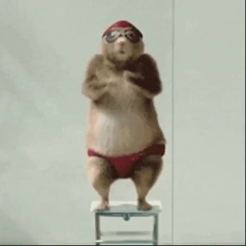 Funny Dancing GIF by The Videobook - Find & Share on GIPHY