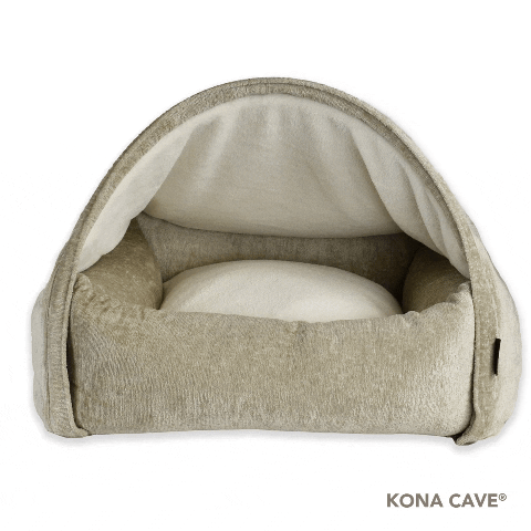 Cat Cave GIF