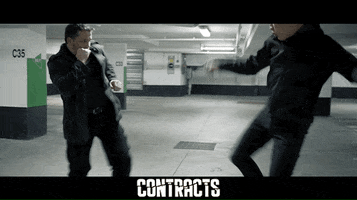 Martial Arts Fight GIF by Indiecan Entertainment Inc.