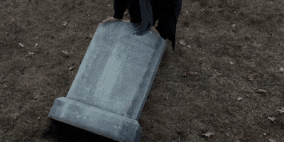 first reformed GIF by A24
