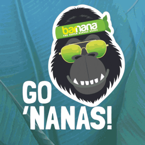 Sunglasses Go GIF by Barnana