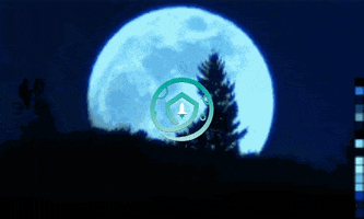 Sm GIF
