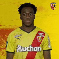 Ligue 1 GIF by rclens