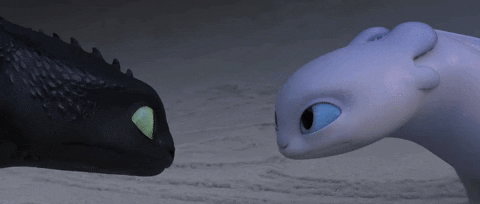 how to train your dragon gif