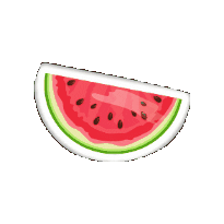 Summer Fruit Watermelon Sticker by City of Kitchener