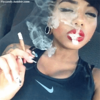GIF by WeedFeed