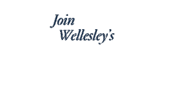 Dayofgiving Sticker by Wellesley College