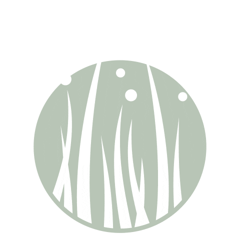 allergiecheck.de Sticker