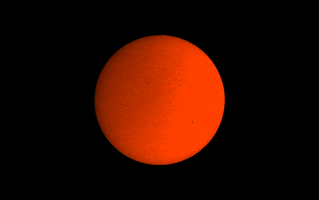 rosscunniff  GIF