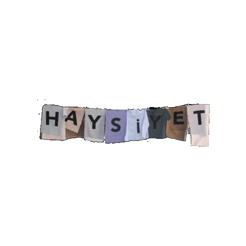 Haysiyet Sticker by Kanal D