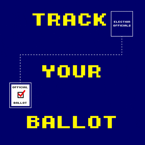 Senate Race Election