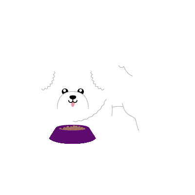 Misoko Sticker by Nature's Protection