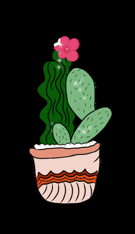 Cacto GIF