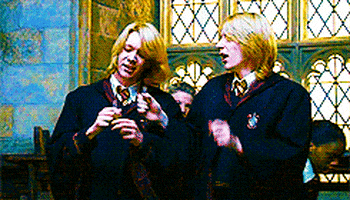 Drinking Together Harry Potter GIF