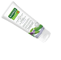 RAUSCH AG KREUZLINGEN Sticker